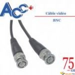 Cordon Vidéo BNC 75 ohms 30m 