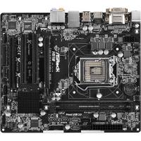 ASR H81M 1150 MATX 2DR3 2PCIE VGA DVI HDMI GL 