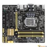 ASUS H87M-PLUS C2 MATX Sock 1150 DVI-HDMI-COM 