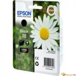 Epson T1801 Encre Noir XP-205/302/402 