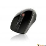 GM7580 SOURIS BLACK SS FIL 