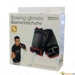 Wii Accessoire GANTS DE BOXE 