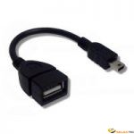 Adaptateur USB OTG/HOST MiniUSB/USB M/F 0.10m 