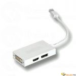 Adaptateur Mini Displayport-HDMI/DVI/DisplayPort MAC 0.10m 
