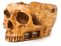 SAT Skull Hub 4USB2 TETE DE MORT 