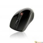 GM7580 SOURIS BLACK SS FIL 