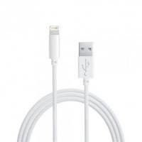 Câble USB vers Lightning 8-pin (iPhone5, iPad4/Mini) 
